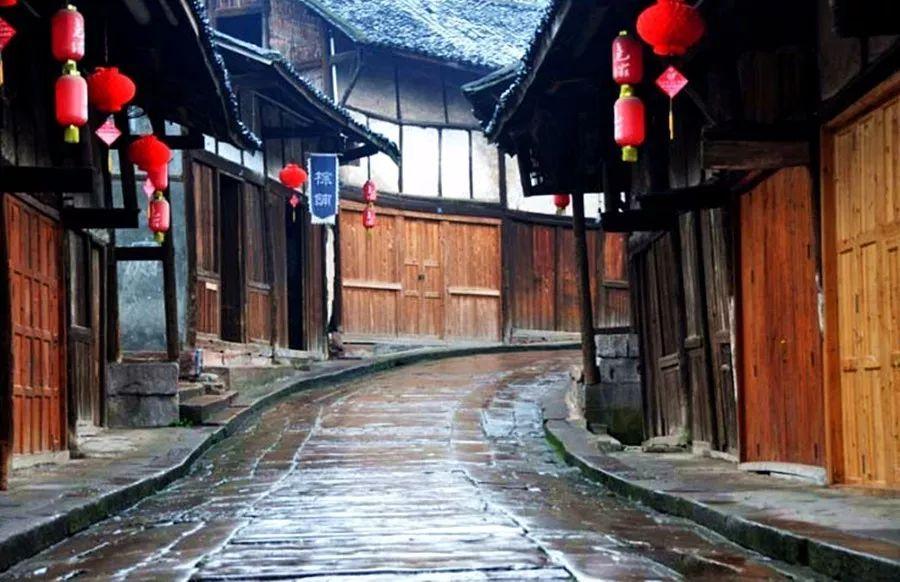 动物帮帮忙保卫家园